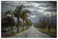 /album/oro-verde/postal-los-cha%c3%b1ares-jpg/